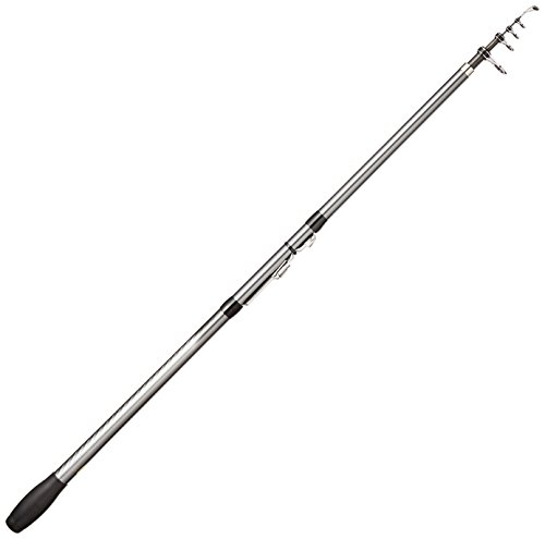 シマノ(SHIMANO) ロッド 投げ竿 17 ホリデースピン ショートモデル (振出) 275GXTS ライトな投げ釣り用 全長2.75m 自