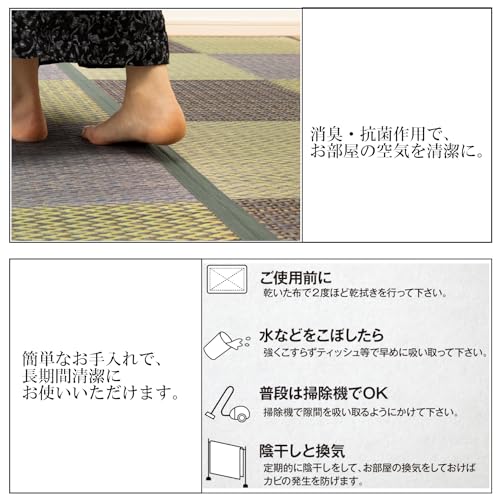 イケヒコ い草 気取らない原料品 引っ敷き 引っ敷き 花ござ 裏張りなし 矩形 単品 ピーア 赤銅色 約170×255糎 団地間3畳 中国製 抗菌