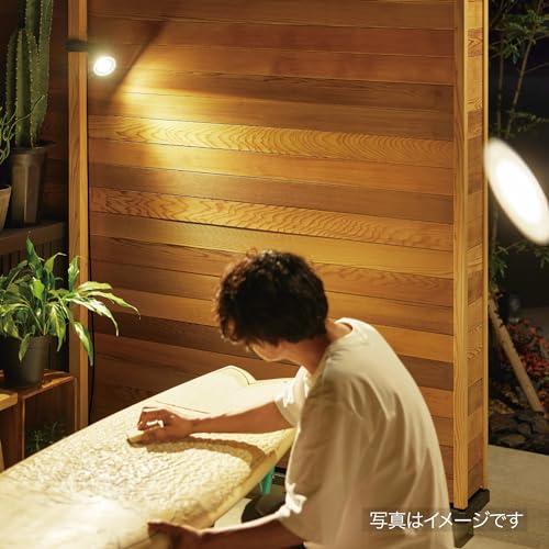 タカショー ガーデンライト ひかりノベーション 活動のひかり 基本セット 2本 屋外 間接照明 防水 鮮やかな光 プロみたいなライトアップ 樹脂_2