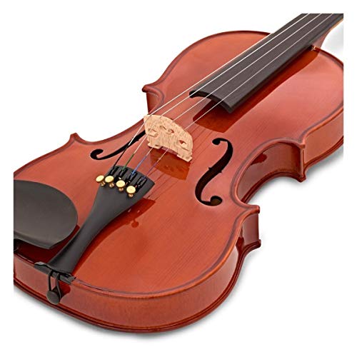 STENTOR (ステンター) バイオリンセット SV-120 1/10【安心の日本企業取り扱い製品】_1