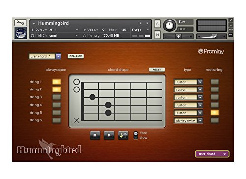 Prominy Hummingbird アコースティックギター音源_2