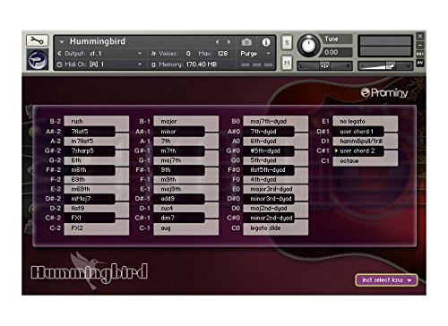 Prominy Hummingbird アコースティックギター音源_3