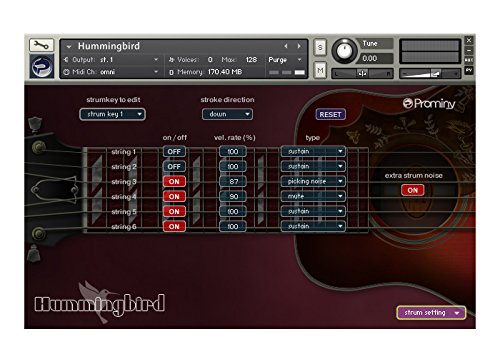 Prominy Hummingbird アコースティックギター音源_4