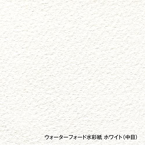 ホルベイン お水ジェラルド・r・フォード水彩画紙 EHS2-F6 白いこと 中目 300g F6大きさ 弾機 12枚綴じ 270927
