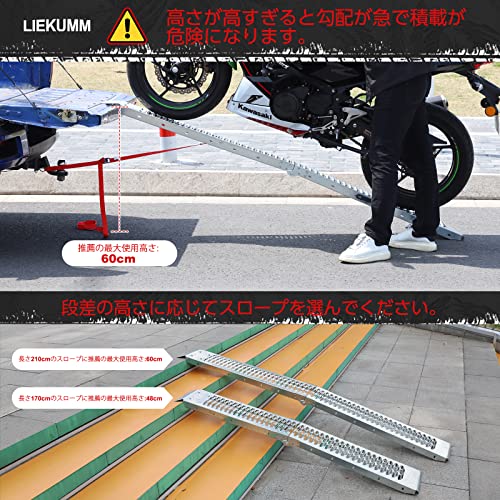 ラダーレール 2本 長さ210*幅22cm 耐荷重440kg スチール製 バイク
