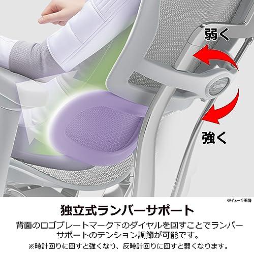 エルゴヒューマン2(ergohuman2) オフィスチェア フレーム:グレー メッシュ:レッド ヘッドレスト付き プロ ハイタイプ EHP2-H_1