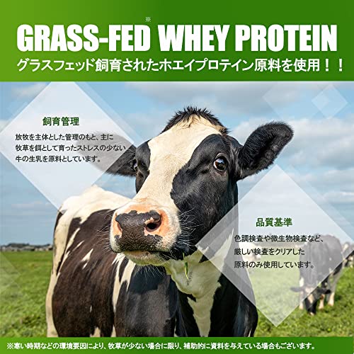 ホエイプロテインピュアアイソレート ココア 2Kg_3
