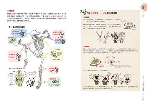 ソッカの美術解剖学ノート_1