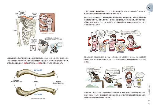 ソッカの美術解剖学ノート_4