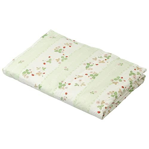 西川 (Nishikawa) 枕 清潔 キット 73X77cm 枕を入れるだけで消臭 除湿 枕用洗濯ネット付き ピロケア ミントグリーン E 西川 (Nishikawa) 枕 清潔 キット 73X77cm 枕を入れるだけで消臭 除湿 枕用