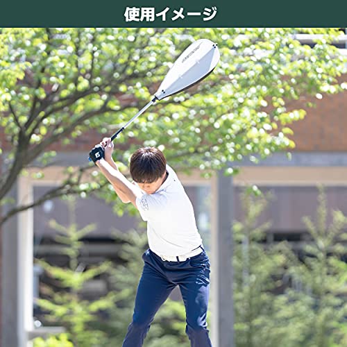 タバタ 藤田コアスイング GV-0233_1