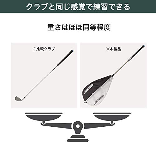 タバタ 藤田コアスイング GV-0233_4