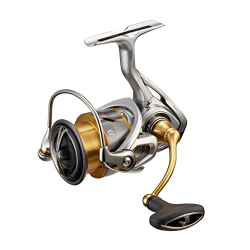 ダイワ(DAIWA) 21 フリームス LT3000-C