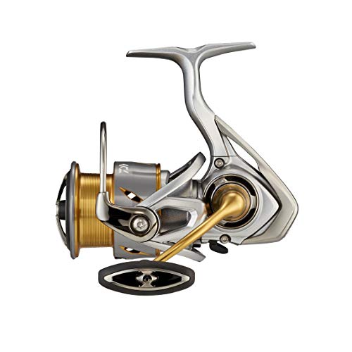 ダイワ(DAIWA) 21 フリームス LT3000-C_1