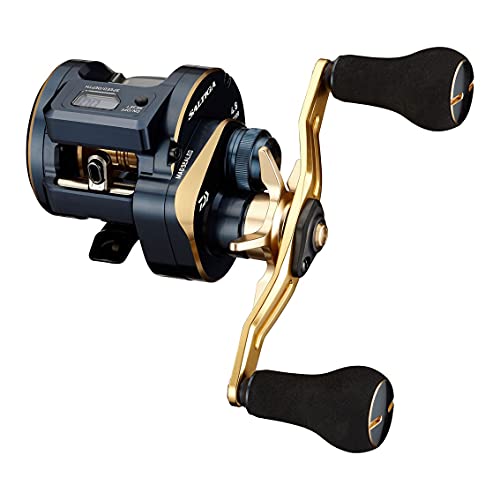 ダイワ(DAIWA) 21 ソルティガIC 100PL-DH 【公式通販】