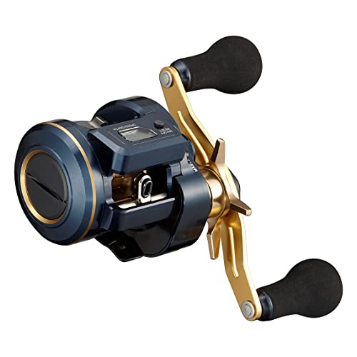 ダイワ(DAIWA) 21 ソルティガIC 100PL-DH 【公式通販】