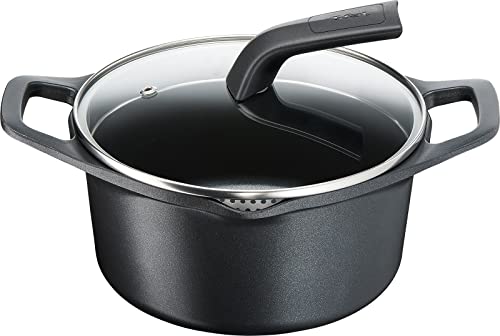 ティファール 両手鍋 20cm 鋳物なのに軽くて使いやすい IH ガス火対応 PFOAなどの有害物質不使用 こびりつきにくさ長持ち キャストライ