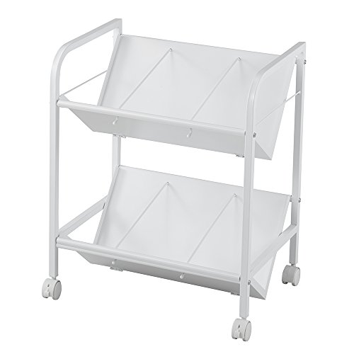 ナカバヤシ 整理保存用具手押し車 2段 白いこと CWA-002W