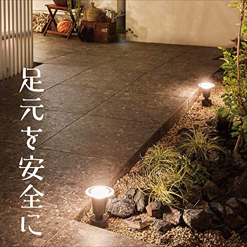 タカショー ガーデンライト ひかりノベーション 地のひかり 基本セット 2本 ブラック 屋外 間接照明 防水 鮮やかな光 プロ仕様 樹脂 LGL_2