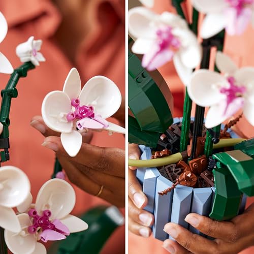 レゴ(LEGO) ボタニカル 胡蝶蘭 おもちゃ 玩具 誕生日 プレゼント ブロック 母の日 父の日 男性 女性 花束 造花 飾り インテリア オ_4