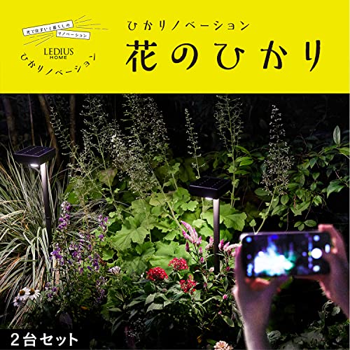 タカショー ソーラーライト 屋外 ひかりノベーション SUNCHARGE 花のひかり ブラック 間接照明 防水 ガーデンライト プロ仕様 明るさ_1