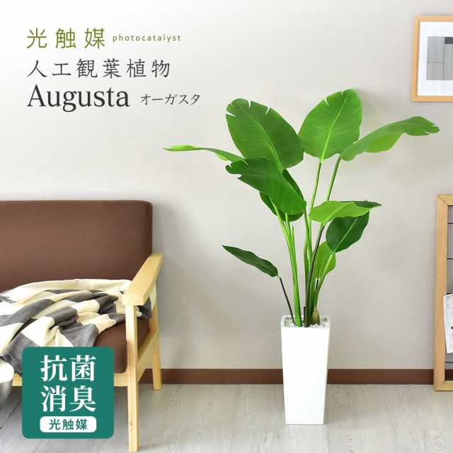観葉植物 人工観葉植物 陶器鉢 インテリア 手間いらず お祝い 枯れない ギフト 開店祝い オーガスタ インテリア家具 おすすめ おしゃれ 北欧 big_ki プレゼント tmの通販は