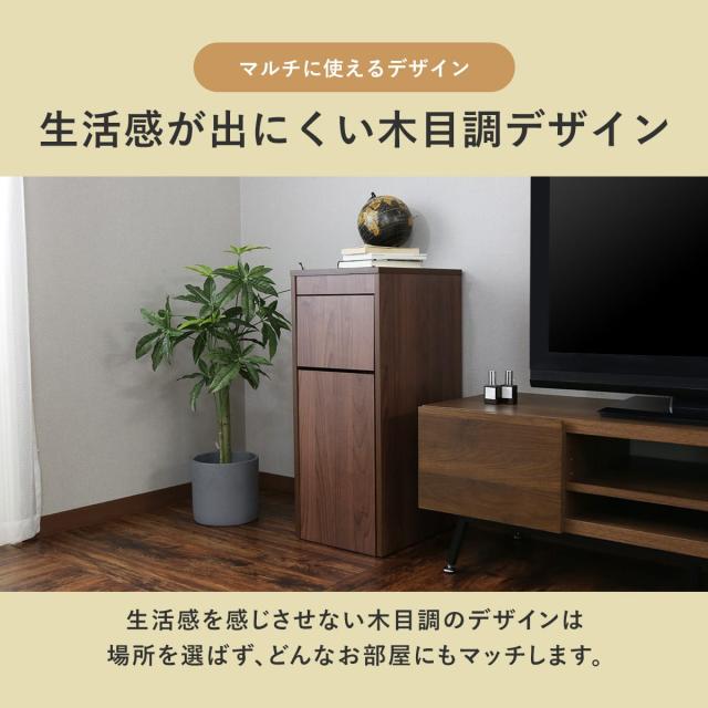 ダストボックス ゴミ箱 分別 インテリア 収納 隠す 縦型 45L スイング