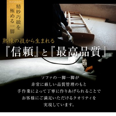 ソファーベッド 左右独立リクライニング 応接ソファ 幅178 レザーソファ 肘付 フォーマルソファ シュトルツ インテリア家具 おすすめ おしゃれ 北欧 big_ki プレゼント tmの通販は