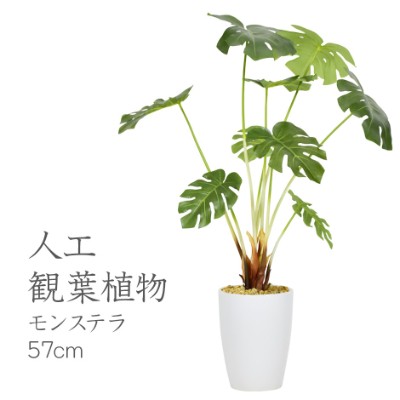 光触媒　人工観葉植物　ウォールグリーン　造花　インテリア　斑入りモンステラ735