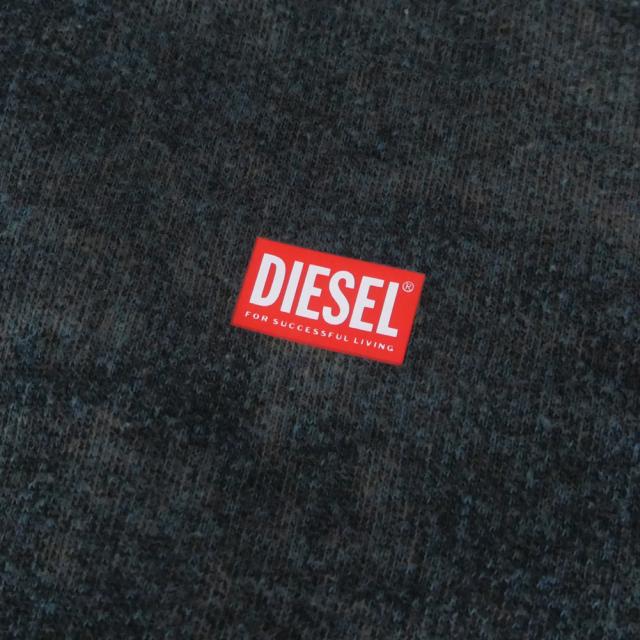 セールAW DIESEL ディーゼル パーカー メンズ プルオーバー A18650