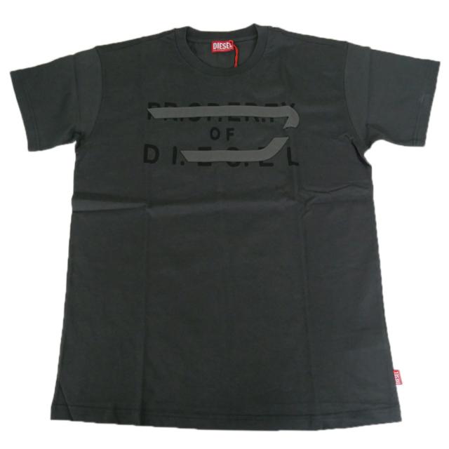 DIESEL ディーゼル Tシャツ メンズ クルーネックTシャツ 半袖 トップス 綿100％ A21027 0DMBJ / T-NORM-V11 ブラウン 2026春夏新作_4