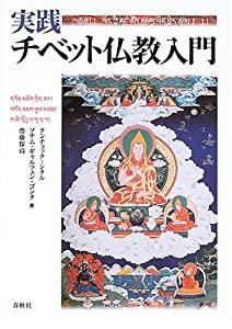 実践 チベット仏教入門(中古品)