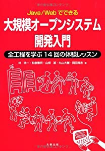 Java/Webでできる大規模オープンシステム開発入門: 全工程を学ぶ14回の体験レッスン(中古品)