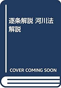 逐条解説 河川法解説(中古品)