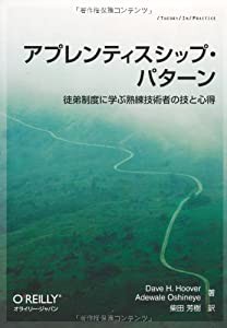 アプレンティスシップ・パターン —徒弟制度に学ぶ熟練技術者の技と心得 (THEORY/IN/PRACTICE)(中古品)の通販はau PAY  マーケット - ネクストオンライン | au PAY マーケット－通販サイト