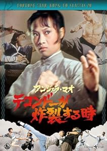 テコンドーが炸裂する時 [DVD](中古品)