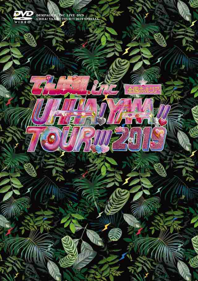 UHHA! YAAA!! TOUR!!! 2019 SPECIAL(初回限定盤)[DVD]