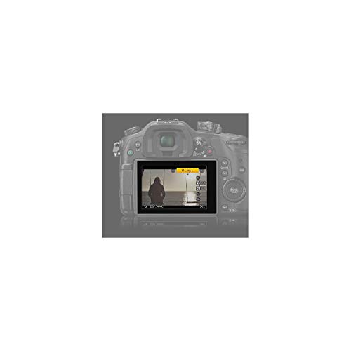 パナソニック デジタルカメラ LUMIX GH4 専用 V-Log L アップグレードソフトウェア DMW-SFU1
