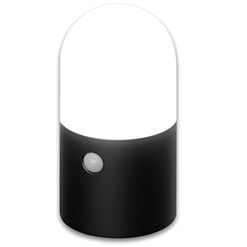 アイリスオーヤマ センサーライト ガーデン LED 乾電池式 丸型 ZSL-MN1M-BKの通販は 9,100円