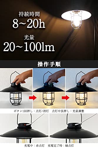 ライト・ランタン WHAT WE WANT WWW_KUMIKOSHADE_TYPE2 Japanese Kumiko Lantern: Mini 