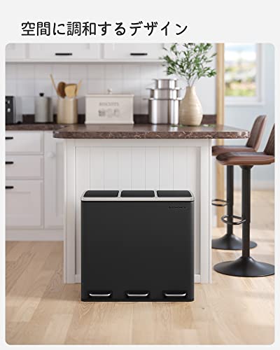 ゴミ箱 ダストボックス 2分別ペダル式 2x30L ステンレス 密閉 音