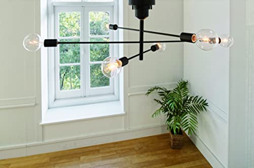 INTERFORM INC. インターフォルム シーリングライト 6灯 ブラック