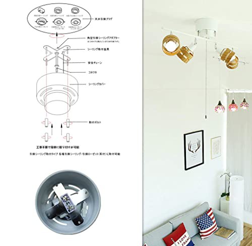 定期入れの TAKUMI LIGHT 楽天市場】【リモコン付】シーリングライト