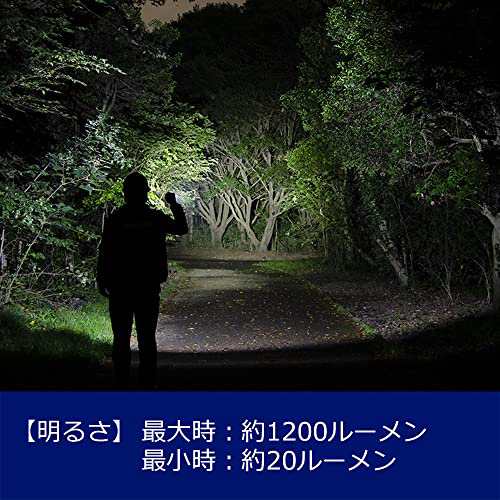 GENTOS(ジェントス) 懐中電灯 LEDライト 充電式(専用充電池 単4電池