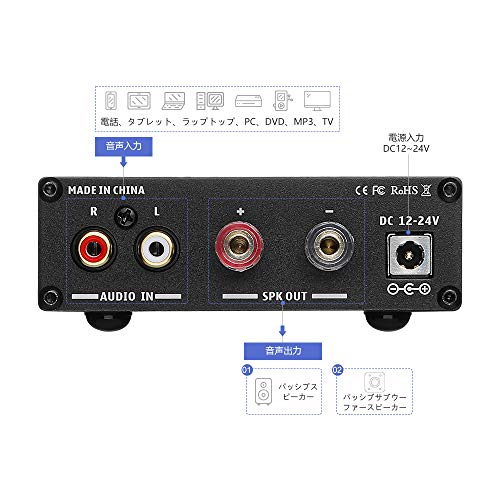 TPA3116D2 100Wサブウーファーアンプ クラスD HiFiモノラルデジタルハイパワーオーディオAmplificador AMP DC12-24Vホームシアター (TPA3116D2, ブラック)_2