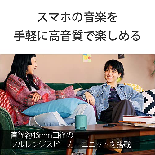 ソニー ワイヤレススピーカー SRS-XB100：クリアな と重低音再生/防水・防塵対応 IP67/ロングバッテリー内蔵 約16時間/ハンズフリー通話対応/ステレオペア機能搭載/USB Type-C充電 ブラック SRS-XB100 BC_3