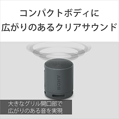 ソニー ワイヤレススピーカー SRS-XB100：クリアな と重低音再生/防水・防塵対応 IP67/ロングバッテリー内蔵 約16時間/ハンズフリー通話対応/ステレオペア機能搭載/USB Type-C充電 ブラック SRS-XB100 BC_5