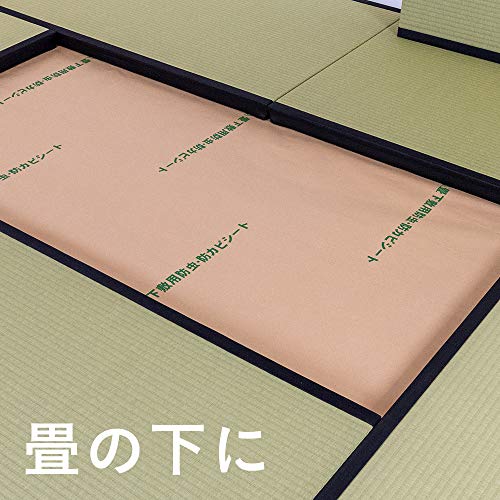 こうひん 防虫・防ダニ・防カビシート 6帖用 100 × 380cm 3枚入りの 