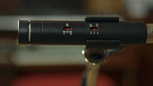 sE Electronics sE8 Pair スモールダイヤフラム・コンデンサーマイク/ステレオペアセット【国内正規品】_5