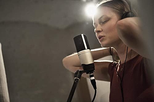 ゼンハイザー レコーディングマイクロフォン MK 4【国内正規品】